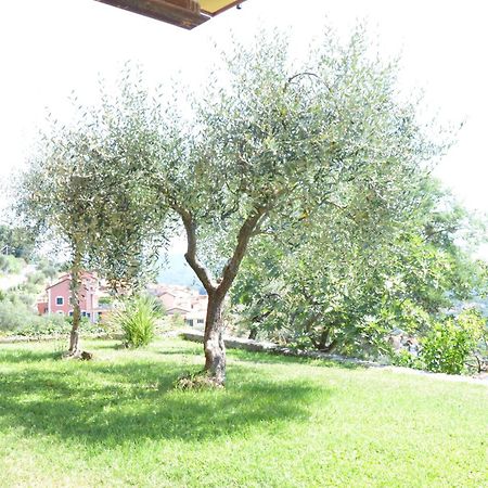 La Casa Con Vista Di Emma Daire Vezzano Ligure Dış mekan fotoğraf