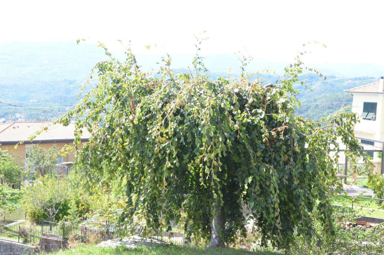 La Casa Con Vista Di Emma Daire Vezzano Ligure Dış mekan fotoğraf